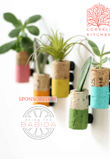Mini Magnetic Succulent Planters (sponsored by BABIDA)