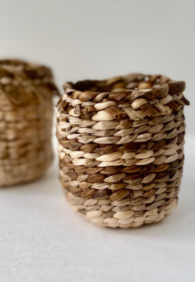 Miniature Daffodil Basket Weaving Workshop