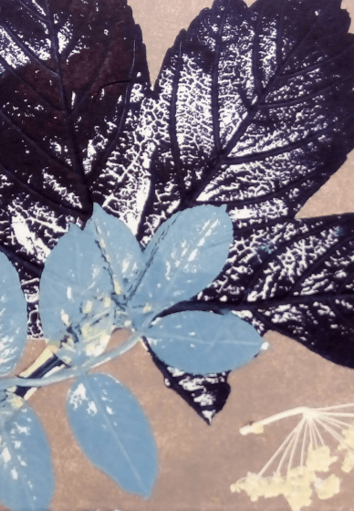 Monoprint Print Making Course
