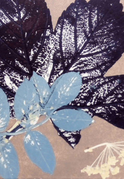 Monoprint Print Making Course