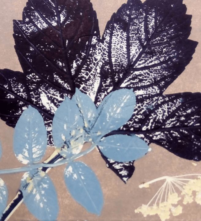 Monoprint Print Making Course