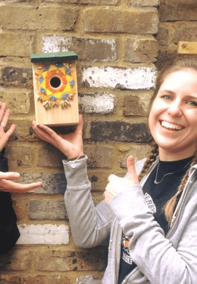 Mosaic Class - Bling a Bird Box