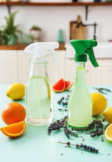 Natural Cleaning Supplies Workshop
