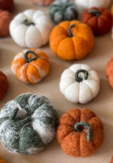 Needle Felt Autumn Pumpkin Workshop