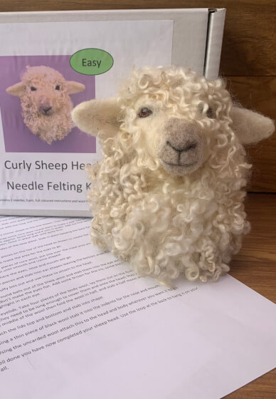 Needle Felting Craft Kit - Sheep Head