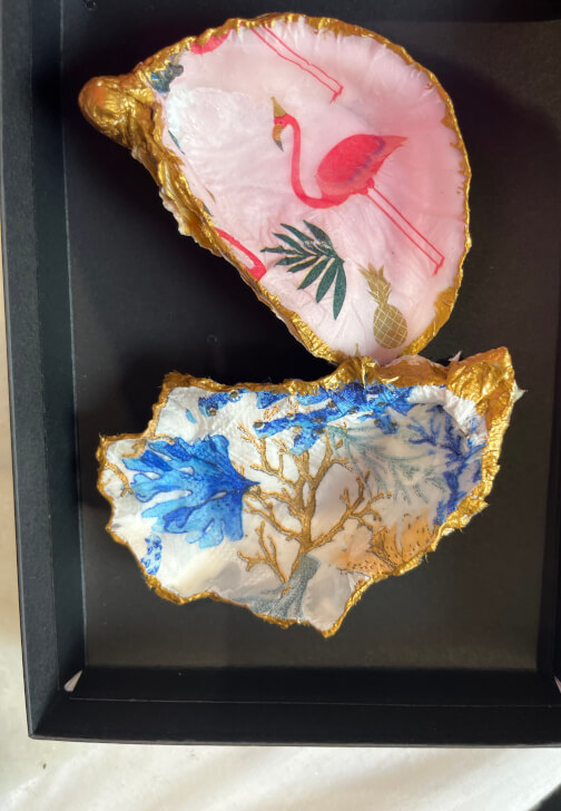 Oyster Decoupage Craft Kit