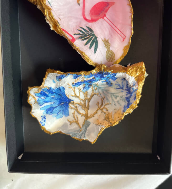 Oyster Decoupage Craft Kit