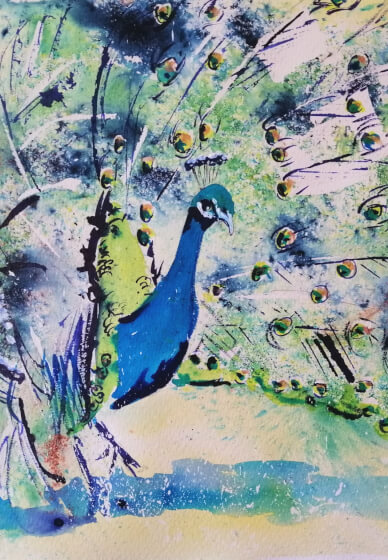Paint a Mixed Media Peacock