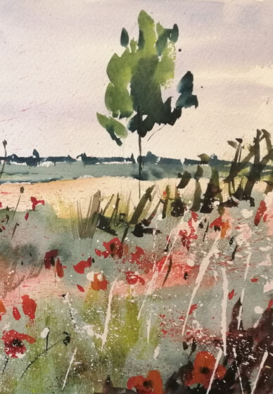 Paint a Poppy Field in Watercolour