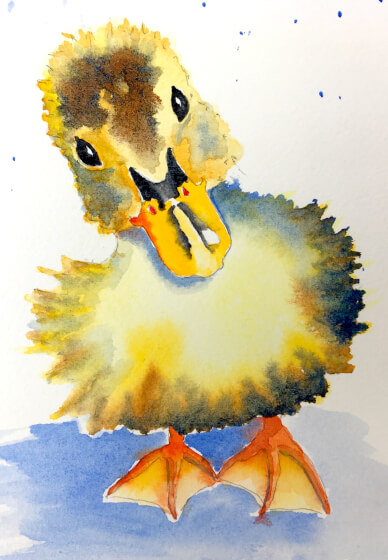 Paint a Watercolour Duckling at Home