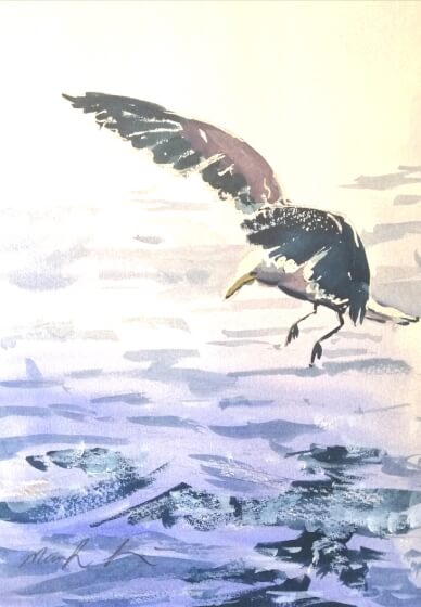 Paint a Watercolour Seagull