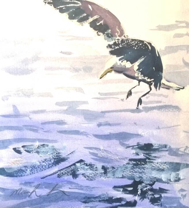 Paint a Watercolour Seagull