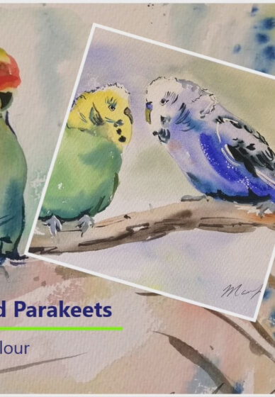 Paint Budgerigars and Parakeets in Watercolour at Home