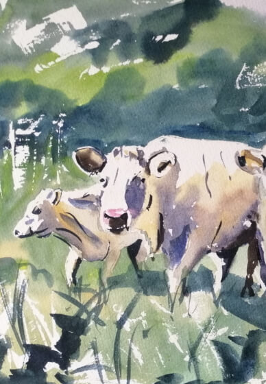 Paint Cows with Watercolour