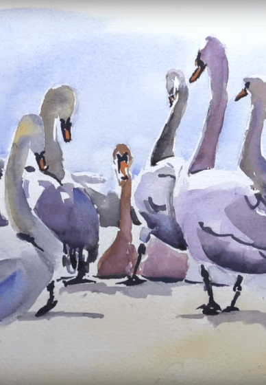 Paint Some Watercolour Swans