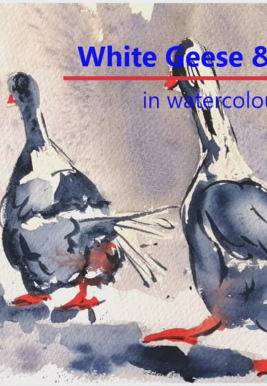 Paint Watercolour Geese Craft Kit