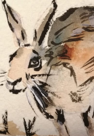 Paint Watercolour Hare Greeting Cards