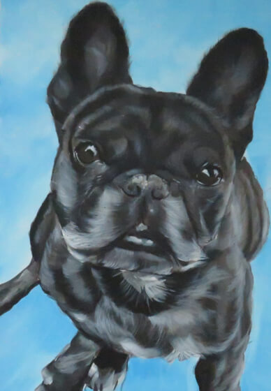 Paint Your Pet - Bedford
