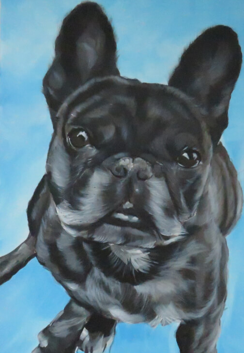 Paint Your Pet - Bedford