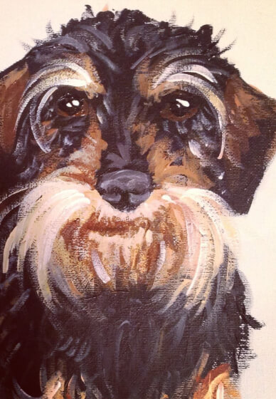 Paint Your Pet