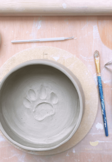 Pet Bowl Hand Building Pottery Workshop