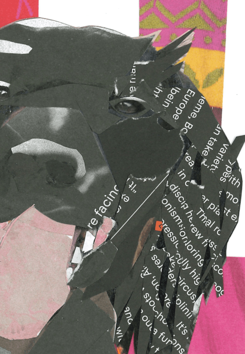 Pet Portraits in Collage Workshop