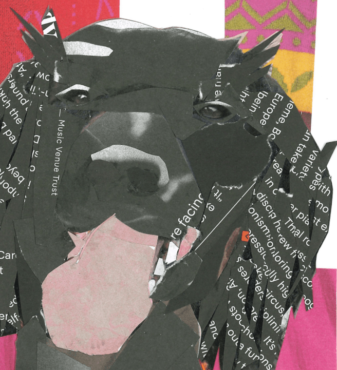 Pet Portraits in Collage Workshop