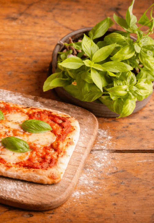Pizza Making Workshop