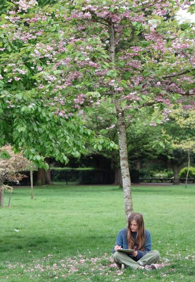 Plein Air Tree Drawing Class