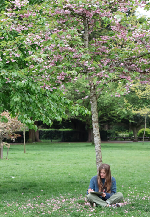 Plein Air Tree Drawing Class