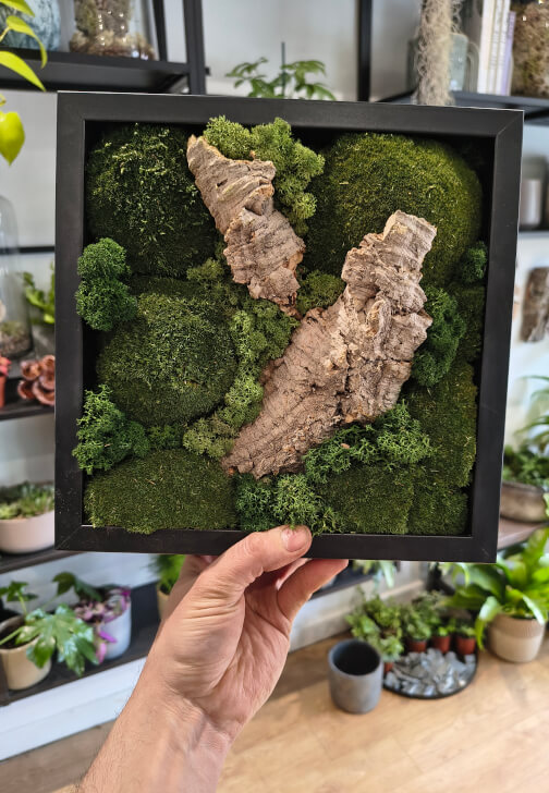 Preserved Moss Art Workshop