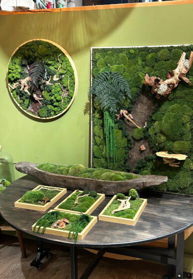 Preserved Moss Art Workshop