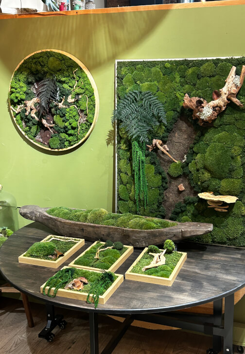 Preserved Moss Art Workshop