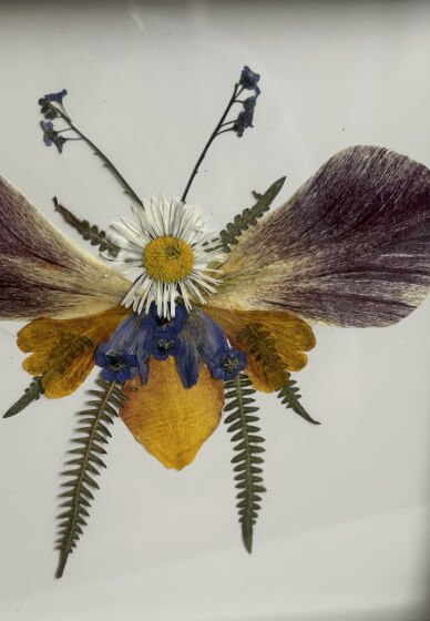 Pressed Flower Art Class with Flower Patch Tour