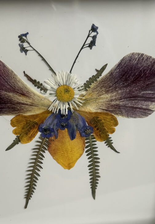 Pressed Flower Art Class with Flower Patch Tour