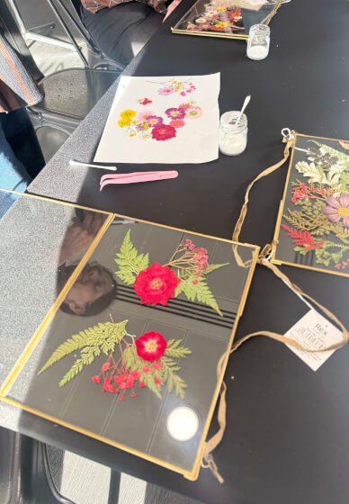 Pressed Flower Frames Pictures Workshop