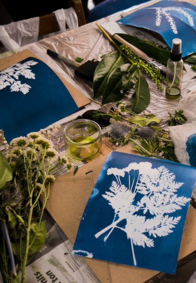Printmaking Workshop: Botanical Blueprinting
