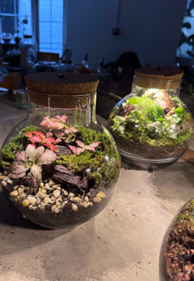 Private Terrarium Workshop Party