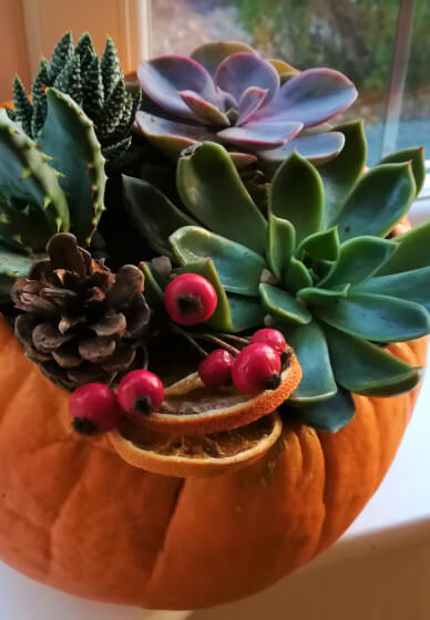 Pumpkin Planter Workshop