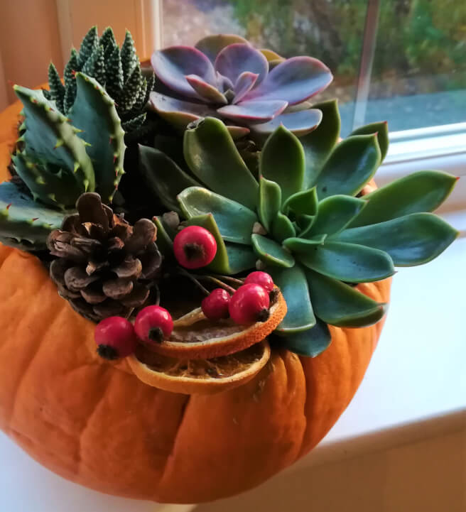 Pumpkin Planter Workshop