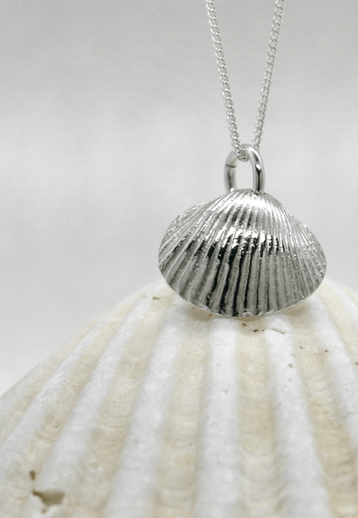Silver Clay Seashell Earring and Necklace Workshop