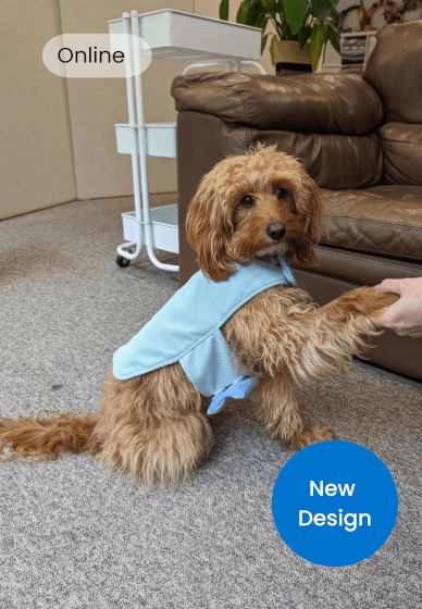 Small Dog Coat Sewing Tutorial