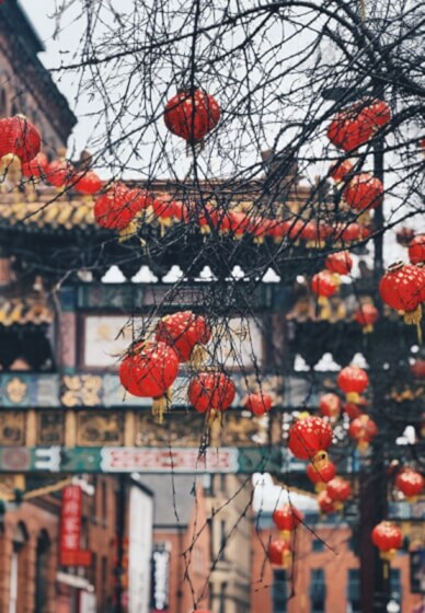 Snap and Share: Festive Street Photography