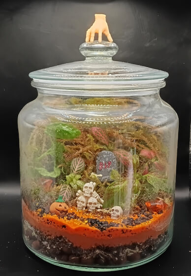 Spooky Terrarium Creation Workshop