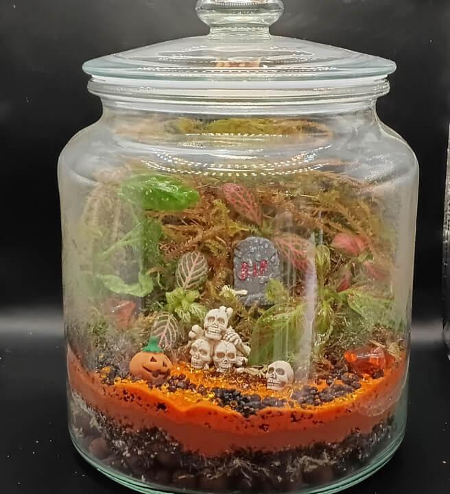 Spooky Terrarium Creation Workshop