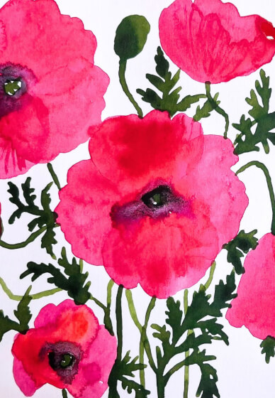 Spring Poppies Watercolour Painting at Home