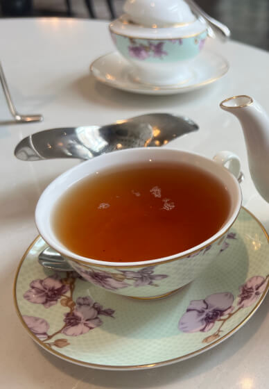 Tea Tasting Experience