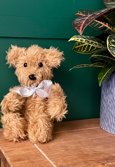 Teddy Bear Making Workshop