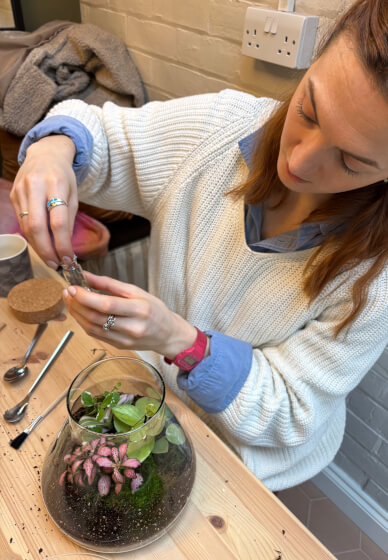 Terrarium Making Class