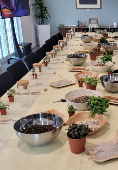 Terrarium Making Workshop - Birmingham Team Building